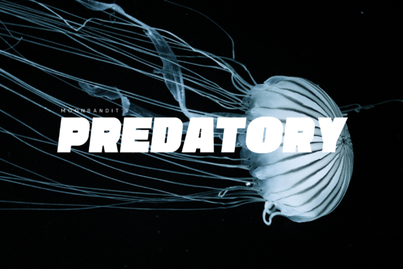 Enhance Your Brand with Predatory: A Bold Display Font